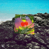 Cover Platz 39
