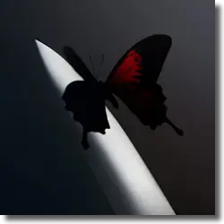 Cover: Post Malone - Twelve Carat Toothache