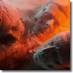 Cover: Muse - Will Of The People