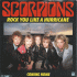 Cover: Scorpions - Rock You Like A Hurricane