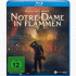 Cover Platz 17