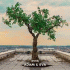 Cover Platz 26