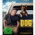Cover Platz 20