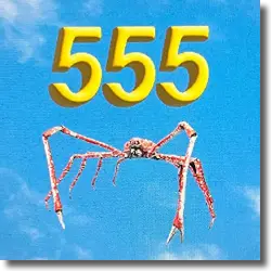 Cover: Noah Levi - 555