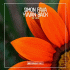 Cover Platz 31
