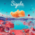 Cover Platz 6