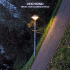 Cover: Deichkind - Geradeaus
