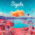 Cover Platz 91