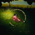 Cover Platz 33