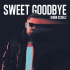 Cover: Robin Schulz - Sweet Goodbye