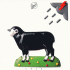 Cover Platz 7