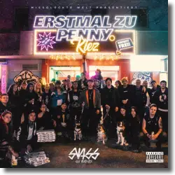 Cover: Swiss + Die Andern feat. Sammy Amara - Nicht für ein Land