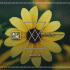 Cover Platz 36
