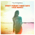 Cover: Fury In the Slaughterhouse & VIZE - Won't Forget These Days (VIZE Remix)