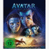 Cover Platz 15