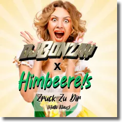 Cover: DJ Bonzay & HIMBEERE!S - Zruck zu dir (Hallo Klaus)