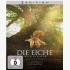 Cover Platz 20