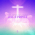 Cover Platz 16