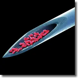 Cover: Peter Gabriel - Live Blood