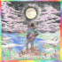 Cover Platz 17