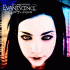 Cover Platz 19