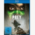 Cover Platz 15
