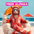 Cover Platz 15