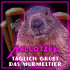 Cover: Mallotzer - Täglich grüßt das Murmeltier