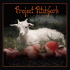 Cover Platz 19