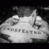 Cover: Frank Turner - Undefeated