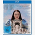 Cover Platz 18