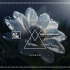 Cover Platz 30