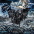 Cover Platz 8