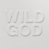 Cover: Nick Cave & The Bad Seeds - Wild God