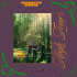 Cover: Mighty Oaks - High Times