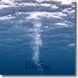 Cover: 1986zig - 5 Fuß