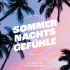 Cover: Florian Silbereisen - Sommernachtsgefühle