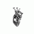 Cover Platz 30