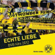Cover Platz 29
