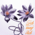 Cover Platz 88