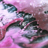 Cover Platz 8