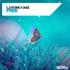 Cover Platz 11