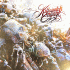 Cover Platz 8