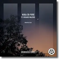Cover: Nora En Pure feat. Richard Walters - Protected