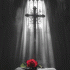 Cover Platz 94