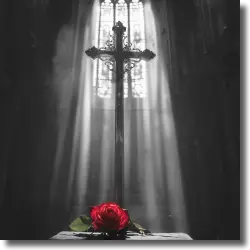 Cover: Ava Max - Lost Your Faith