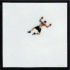 Cover Platz 24
