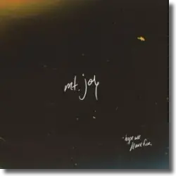 Cover: Mt. Joy - Hope We Have Fun