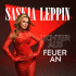 Cover: Saskia Leppin - Lichter aus Feuer an