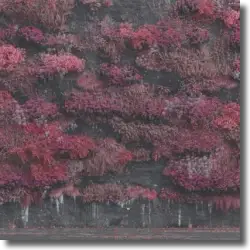 Cover: Sleep Token - Even in Arcadia